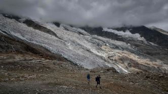 Suisse : un homme tombé dans une crevasse de huit mètres sauvé grâce à son chihuahua