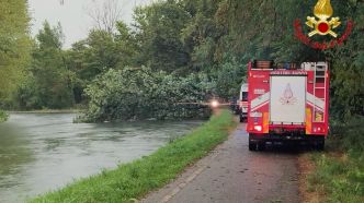 Italie: une femme tuée par la chute d'un arbre lors de violentes intempéries