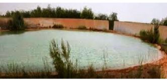 Tozeur : un enfant de 7 ans meurt noyé dans un bassin d'irrigation