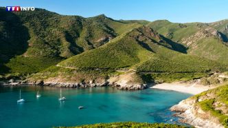 Incontournables, sauvages ou confidentielles... découvrez notre sélection des 10 plus belles plages de Corse | TF1 INFO
