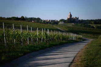 Les Suisses devraient boire plus de vin, parole de ministre