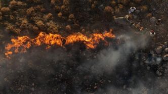 Vague de chaleur: les incendies se multiplient en Europe