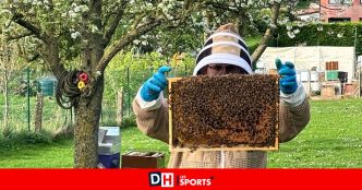 Un opticien de Châtelet qui fait de l'apiculture à Fernelmont: portrait de Bastien Mauën, artisan certifié