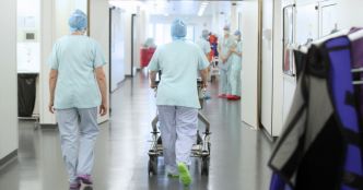 Strasbourg. Des cochons priorisés sur des malades du cancer à l'IHU : une enquête en cours