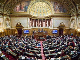 Tour de passe-passe ou réforme sérieuse ? Le Sénat lève le voile sur la jungle des agences publiques