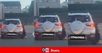 Chien traîné par une voiture à Dalhem : l'animal est décédé