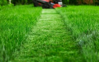 Un jardin parfait à moindre coût : Comment aplanir votre pelouse sans équipements