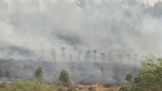 Incendie dans l'Aude : la bataille des pompiers