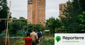 Jardins d'Aubervilliers à nouveau en péril, la résistance reprend racine