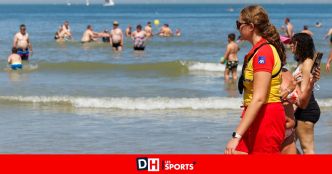 Attention à la mer du Nord, cet animal venimeux est sept fois plus présent que l'année dernière: "Portez des sandales d'eau”
