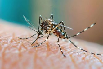 Un gadget anti-moustiques élimine ces insectes à l'aide de lasers guidés par LiDAR sur 6 mètres