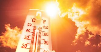 Météo : Températures maximales comprises entre 34 et 43 degrés