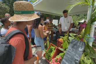 Le Végékréyol 2025 séduit plus de 4500 visiteurs à Goyave : un hommage vivant au végétal local