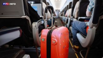 "L'option valise, c'est quasiment le double du vol" : face à la grogne, ce bagage cabine sera bientôt gratuit à bord | TF1 INFO
