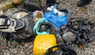Drogue, Kush, stupéfiants : quand la Guinée redevient la plaque tournante du narcotrafic !!!