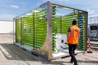 Data4, Blue Planet Ecosystems et Paris-Saclay utilisent la chaleur des data centers pour produire des algues