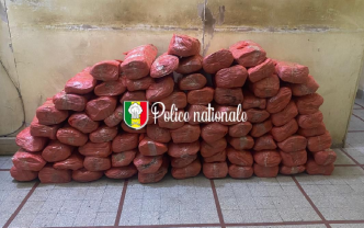 Kaolack : 80 kg de chanvre indien saisis à Thioyene Hamady Mala