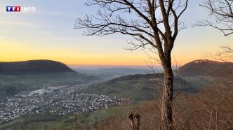 Dérèglement climatique : "D'ici 2100, Lille devrait avoir le climat de Bilbao" | TF1 INFO