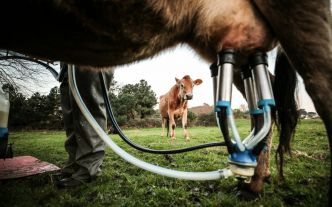 Financement des Maec : un nouveau frein à l'agroécologie