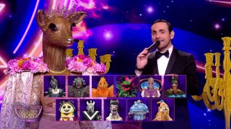 "Mask Singer" : TF1 prête à surprendre avec deux nouvelles saisons par an