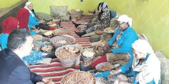 Ouezzane : L'INDH appuie 94 projets de coopératives