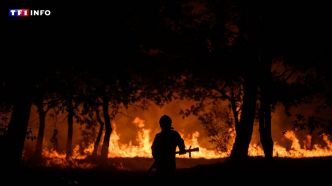 Feux de forêt : quelle est la "règle des trois 30" utilisée par les pompiers ? | TF1 INFO