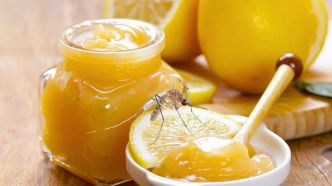 Recyclez un verre non utilisé pour créer cette bougie anti-moustique avec du sel et du citron