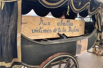 "Nourrir pas détruire" : l'agriculture paysanne et les abeilles enterrées pour dénoncer la loi Duplomb