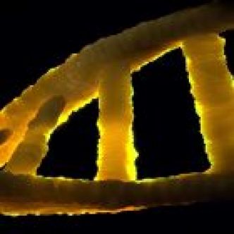 Conception d'un génome humain artificiel: le projet est lancé