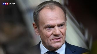 Immigration : pourquoi la Pologne ferme-t-elle ses frontières avec l'Allemagne et la Lituanie ? | TF1 INFO