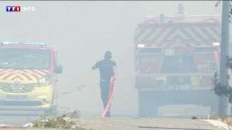 Évacuations à Fréjus après un nouveau départ de feu : les premières images | TF1 INFO