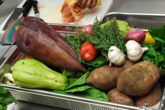 Astèr Chefs saison 9 : les tisanes péi s'invitent à la table des chefs et des traiteurs