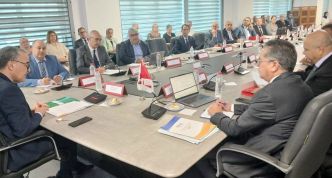 Nécessité d'un équilibre entre la demande étrangère sur les compétences nationales et les besoins du pays en la matière