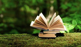Comment allier respect du droit d'auteur et transition écologique ?
