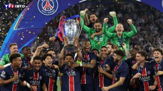 Plus d'un Français sur 2 "satisfait" de la victoire du PSG en Ligue des champions | TF1 INFO