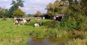 Crédits nature : la Commission européenne lance une feuille de route