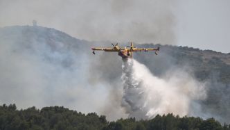 Nouvel incendie dans l'Hérault : un feu de pinède en cours près de Montpellier