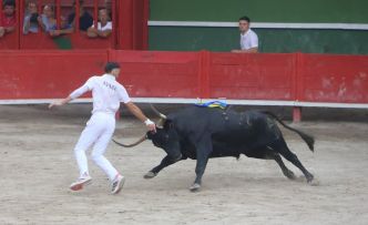 Le trio Amiral, Merlos et Ayme grimpe sur le podium du Sarment d'Or, à Aigues-Vives