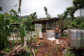 Cyclone Chido : la société GBH annonce investir un million d'euros dans l'agriculture mahoraise