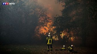 Quelles sont les peines encourues par les auteurs d'incendie accidentel ou volontaire ?  | TF1 INFO