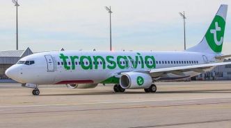 Fini les frais de bagage : Cette Valise Passe Sans Payer chez Transavia et Easyjet