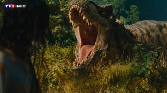 Malgré une critique divisée, les dinos de "Jurassic World : Renaissance" croquent le box-office | TF1 INFO