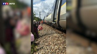 "Totalement inacceptable" : un Eurostar bloqué des heures en pleine voie, la compagnie évoque un problème d'alimentation | TF1 INFO