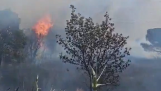 Incendie à Fréjus : plusieurs milliers de mètres carrés ravagés, un camping momentanément évacué
