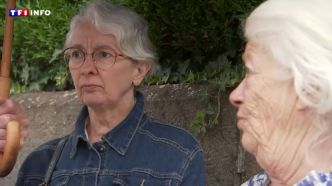"Une grosse dizaine de piqûres" : deux victimes témoignent après l'attaque massive d'abeilles à Aurillac | TF1 INFO