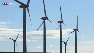 Énergies renouvelables : pourquoi leurs opposants parlent "d'énergies intermittentes" ? | TF1 INFO