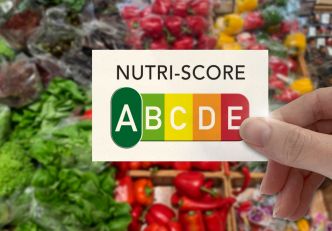 Automobile : les sous-traitants veulent un Nutri-score européen