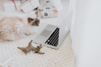 Des sites à découvrir pour le bien-être des animaux