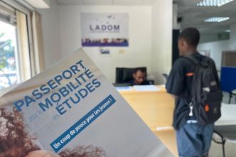 4 605 étudiants mahorais ont pu partir faire leurs études en 2024 grâce à Ladom