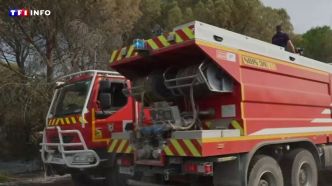 Incendie dans l'Aude : un feu parcourt 750 hectares près de Narbonne | TF1 INFO